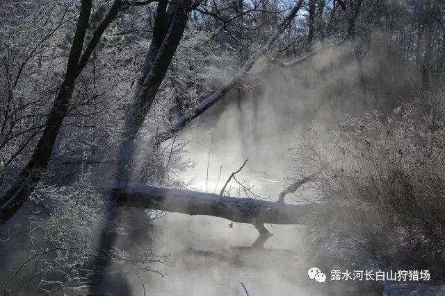 救援可爱的小丑