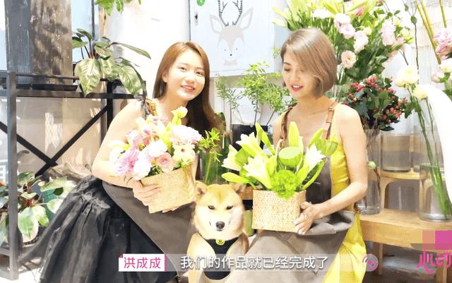 索菲亚清洁公园
