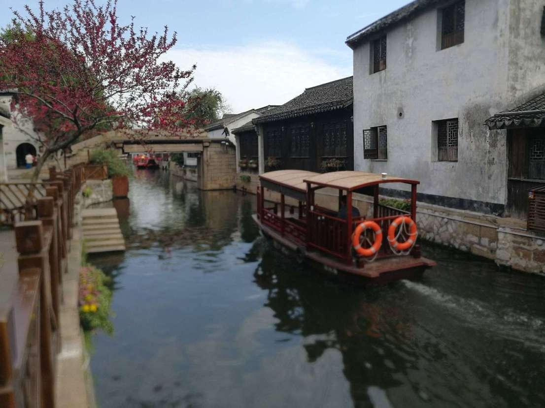 拯救蓝色小鸟