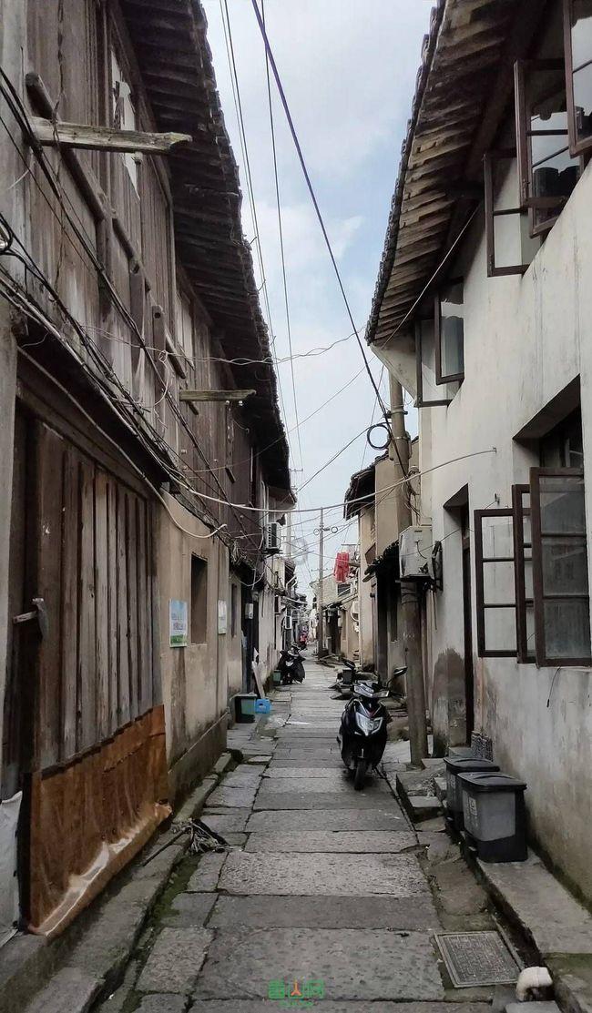 小猫钓鱼游戏龙王版有船